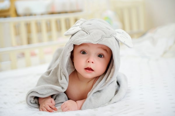 Tên con theo loài vật thể hiện sự dễ thương Tên con theo loài vật thể hiện sự dễ thương