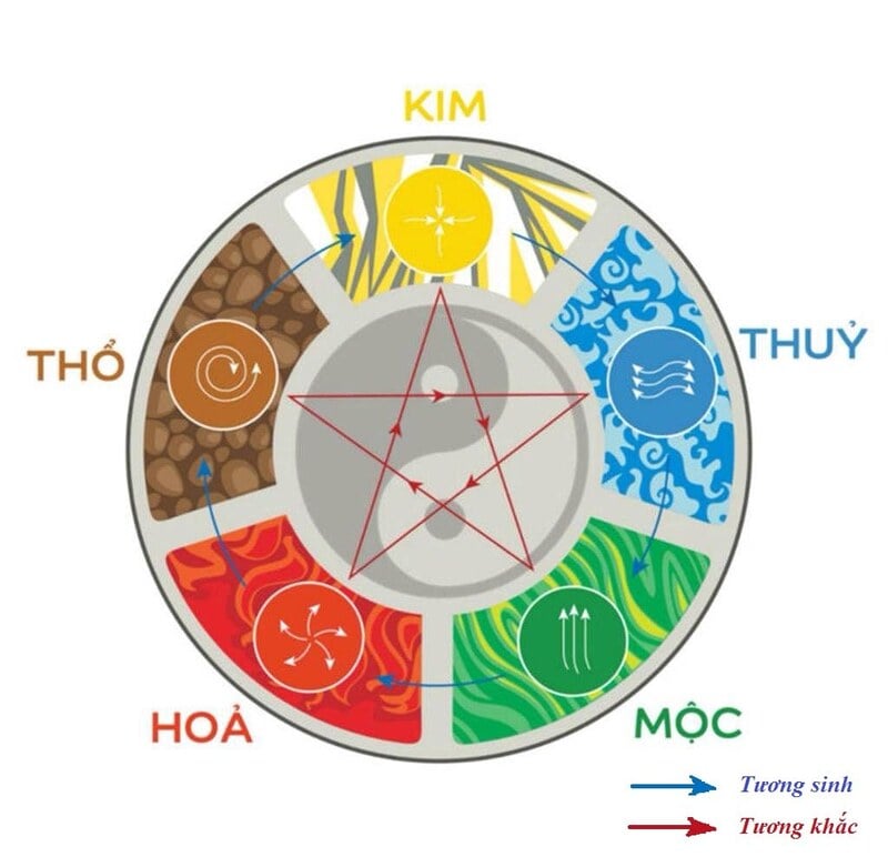 Mệnh mộc trong ngũ hành tượng trưng cho sự sống của cỏ cây, vạn vật Mệnh mộc trong ngũ hành tượng trưng cho sự sống của cỏ cây, vạn vật