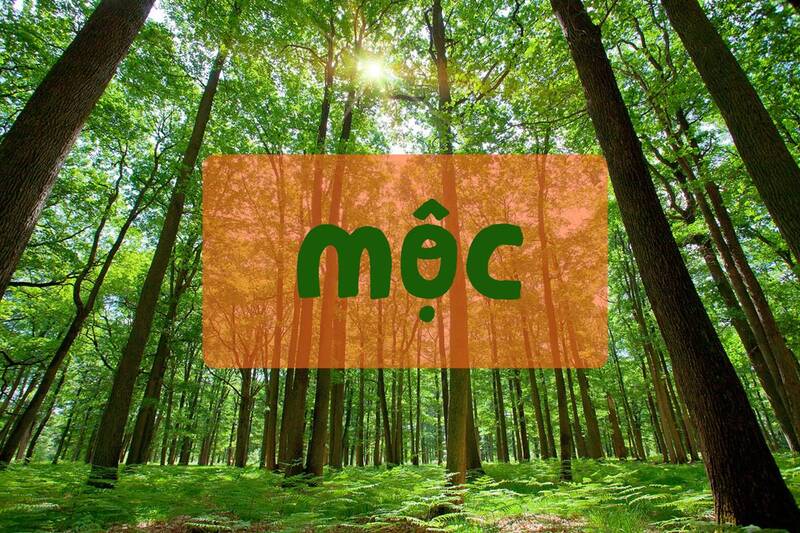 Cha mẹ nên lựa chọn một tên cho con trai mệnh Mộc mang ý nghĩa bổ trợ, tạo sự cân bằng Cha mẹ nên lựa chọn một tên cho con trai mệnh Mộc mang ý nghĩa bổ trợ, tạo sự cân bằng