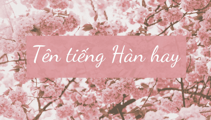 Tìm hiểu chi tiết phong tục, nền văn hóa đặt tên tiếng Hàn Quốc đẹp của người dân c