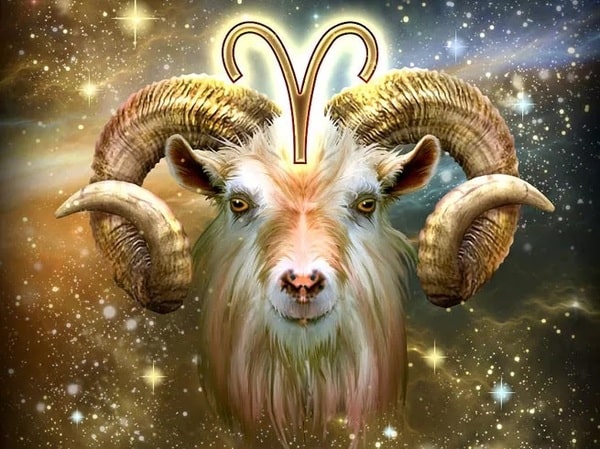 Giải Mã Cung Bạch Dương (Aries) 21/03 - 20/04 Nam Nữ 28 Cung Bạch Dương là con cừu đực có bộ lông vàng