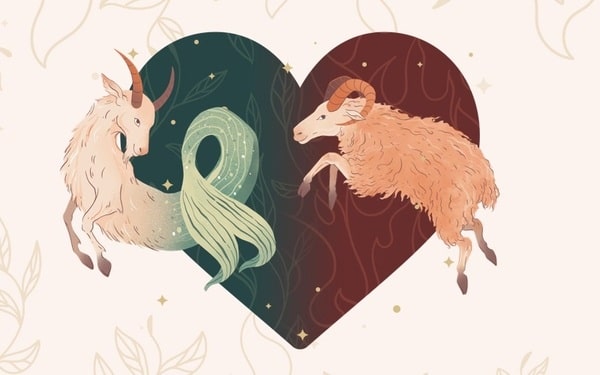 Giải Mã Cung Bạch Dương (Aries) 21/03 - 20/04 Nam Nữ 50 Bạch Dương và Ma Kết