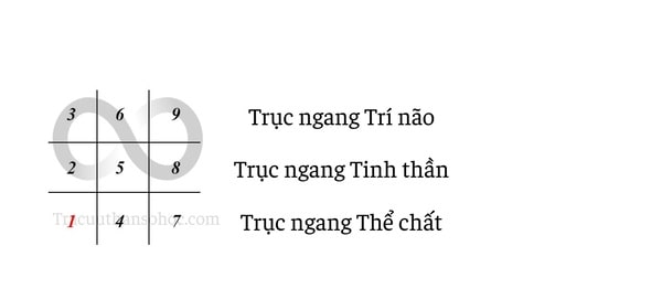 Biểu đồ 3 trục của con người. Biểu đồ 3 trục của con người.