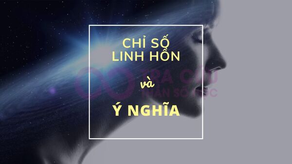 Chỉ số linh hồn là gì? Ý nghĩa chỉ số linh hồn trong Thần số học Chỉ số linh hồn là gì? Ý nghĩa chỉ số linh hồn trong Thần số học
