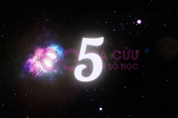 Thần số học số 5 trong năm cá nhân số 1 Thần số học số 5 trong năm cá nhân số 1