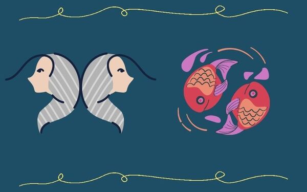 Cung Song Tử (Gemini; 21/05-20/06) và Những Điều Bí Ẩn Bạn Chưa Biết Về Cung Hoàng Đạo Này 45 Bảo Bình với Song Tử