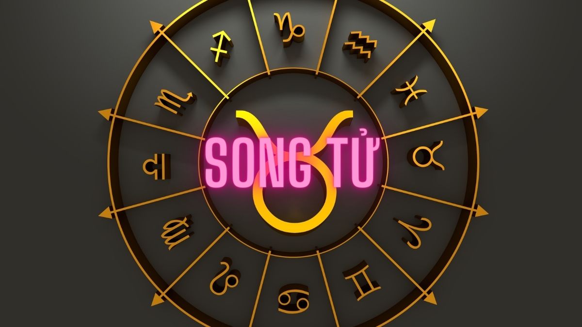 Cung Song Tử (Gemini; 21/05-20/06) và Những Điều Bí Ẩn Bạn Chưa Biết Về Cung Hoàng Đạo Này 27 cung song tử 2