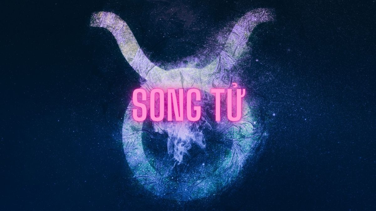 Cung Song Tử (Gemini; 21/05-20/06) và Những Điều Bí Ẩn Bạn Chưa Biết Về Cung Hoàng Đạo Này 29 cung song tử 4