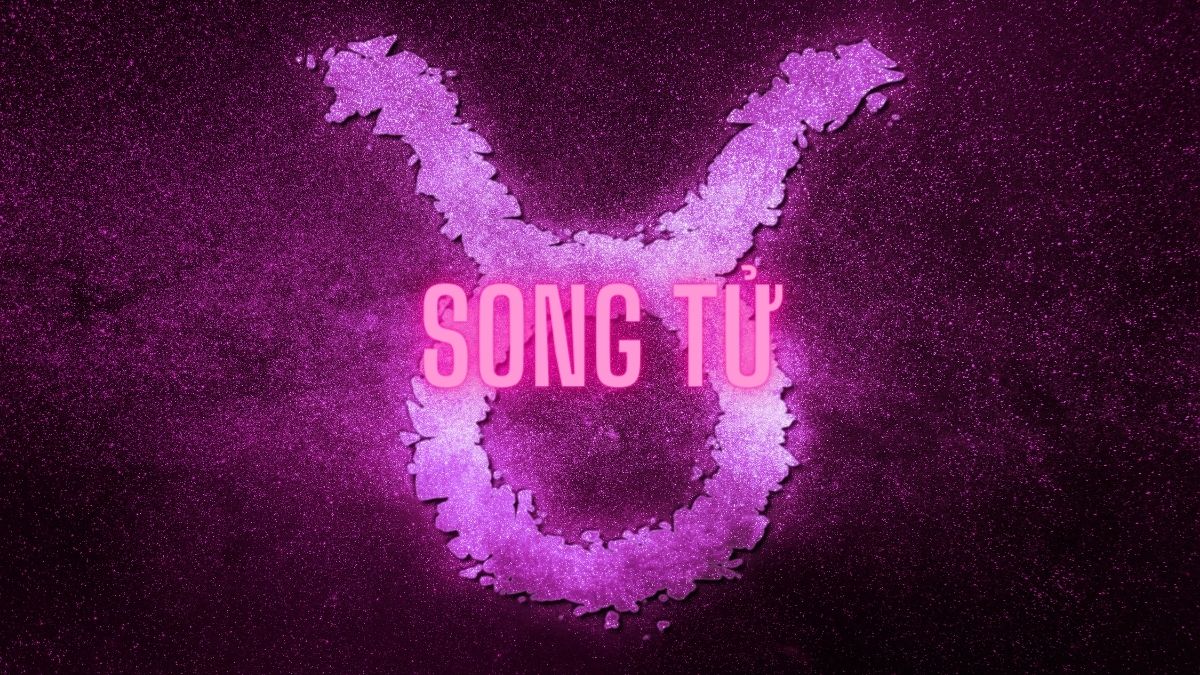 Cung Song Tử (Gemini; 21/05-20/06) và Những Điều Bí Ẩn Bạn Chưa Biết Về Cung Hoàng Đạo Này 30 cung song tử 5