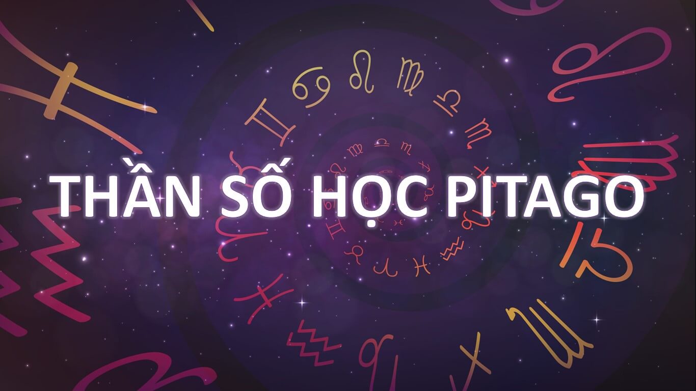 Thân Sống Học - Chìa Khóa Để Sống Trọn Vẹn 6 Thân Sống Học - Chìa Khóa Để Sống Trọn Vẹn
